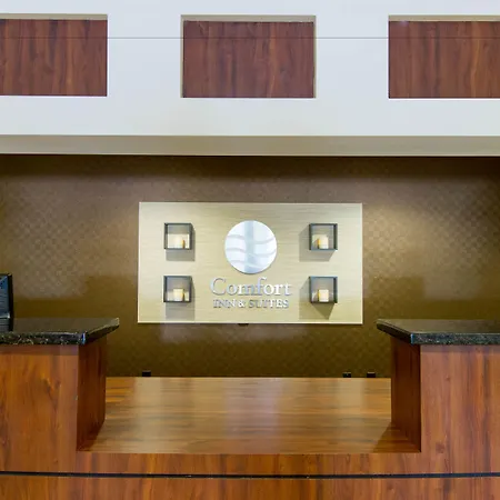 Comfort Inn & Suites Fort Myers Airport-3